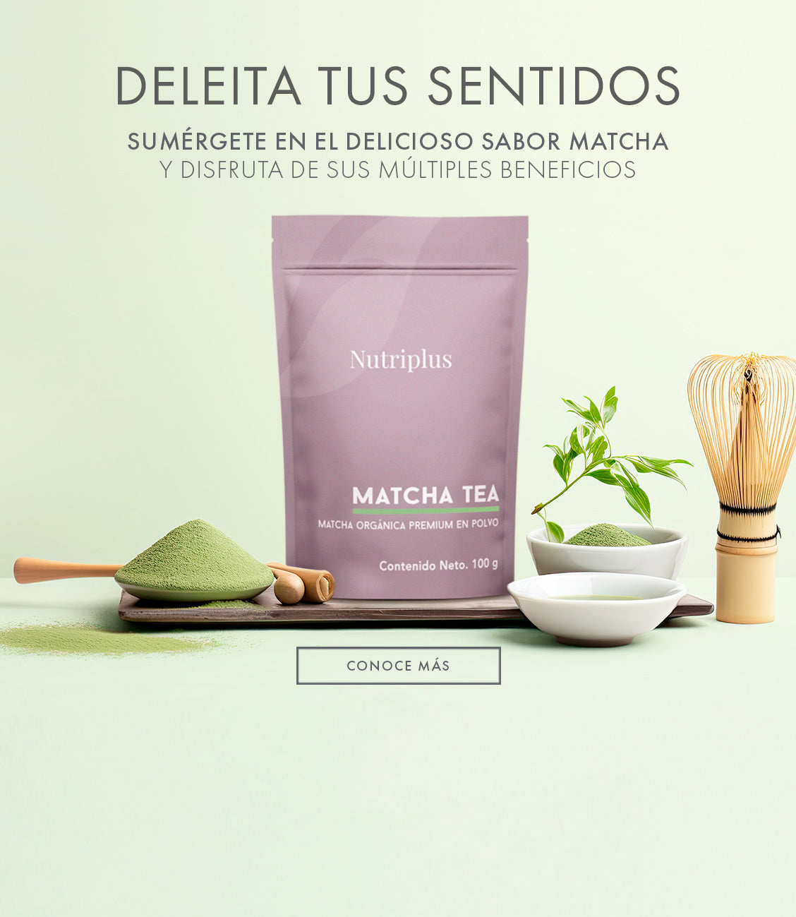 Matcha Tea Nutriplus