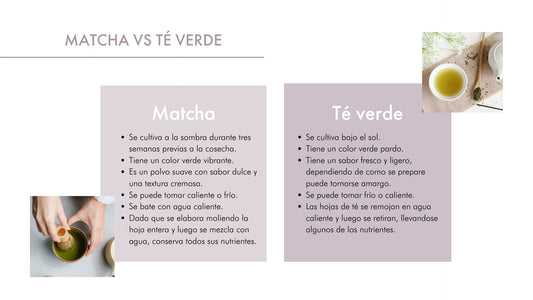 Matcha Tea Nutriplus