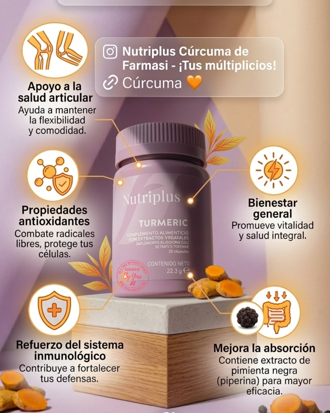 CÚRCUMA TURMERIC NUTRIPLUS
