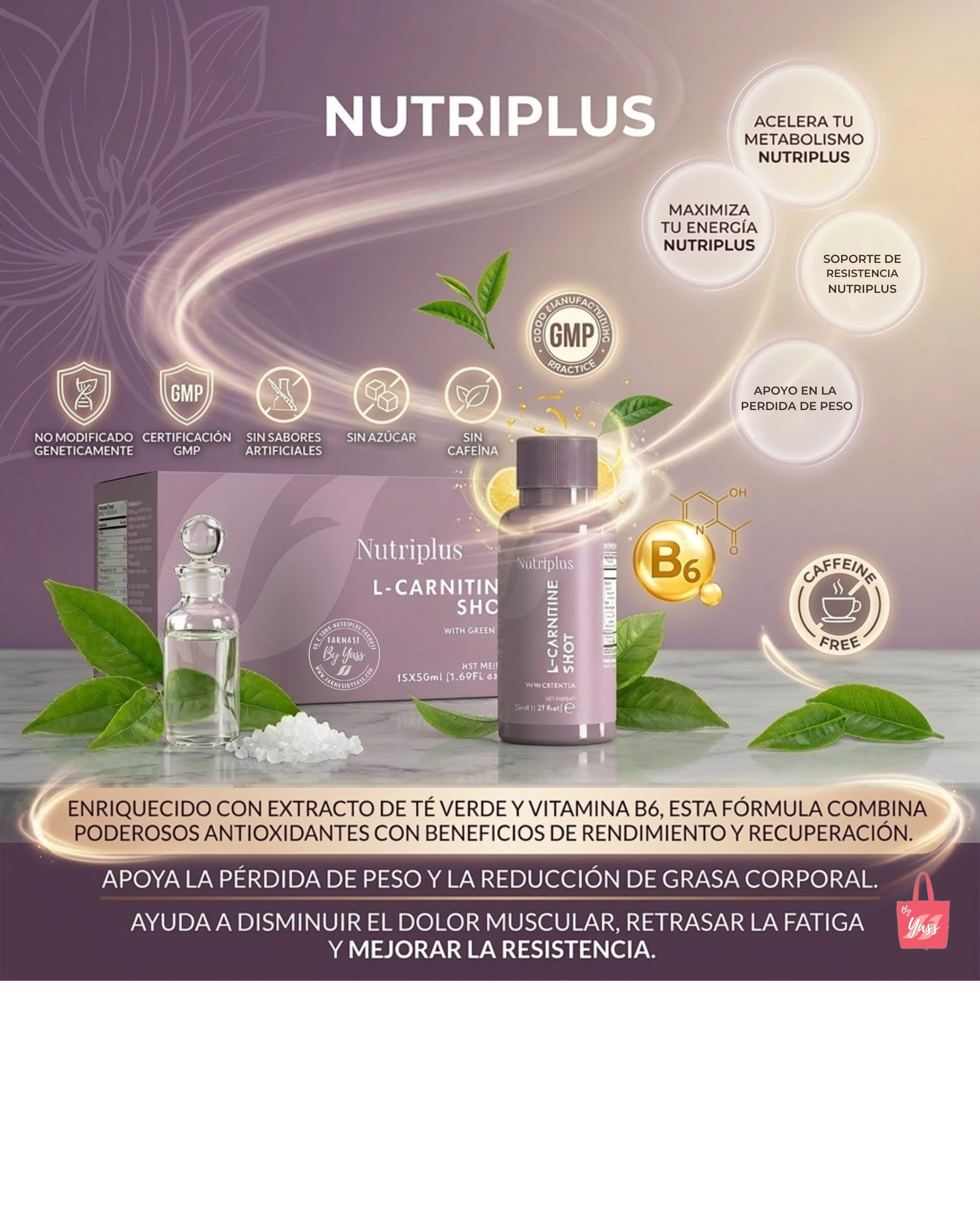 nutriplus l carnitine shot para que sirve Nutriplus L-Carnitine Shot 50 ml – thundergymstg.com